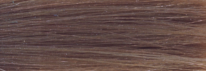 CHI IONIC COLOR - ASH