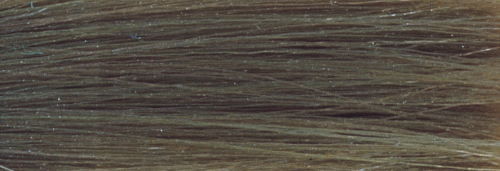 CHI IONIC COLOR - DOUBLE ASH