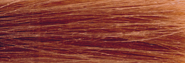 CHI IONIC COLOR - RED BROWN BLONDE