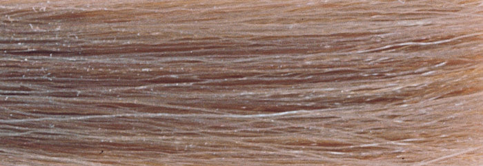 CHI IONIC COLOR - ASH