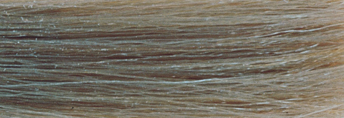 CHI IONIC COLOR - DOUBLE ASH