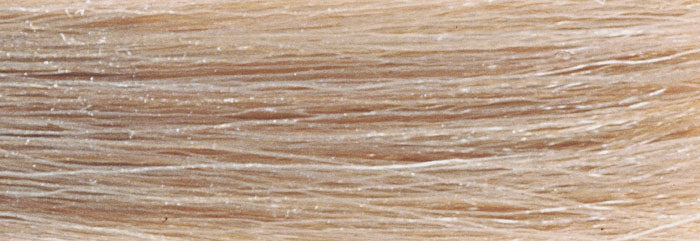 CHI IONIC COLOR - ASH