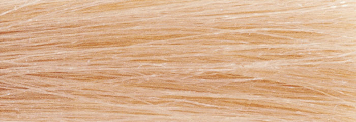 CHI IONIC COLOR - GOLD