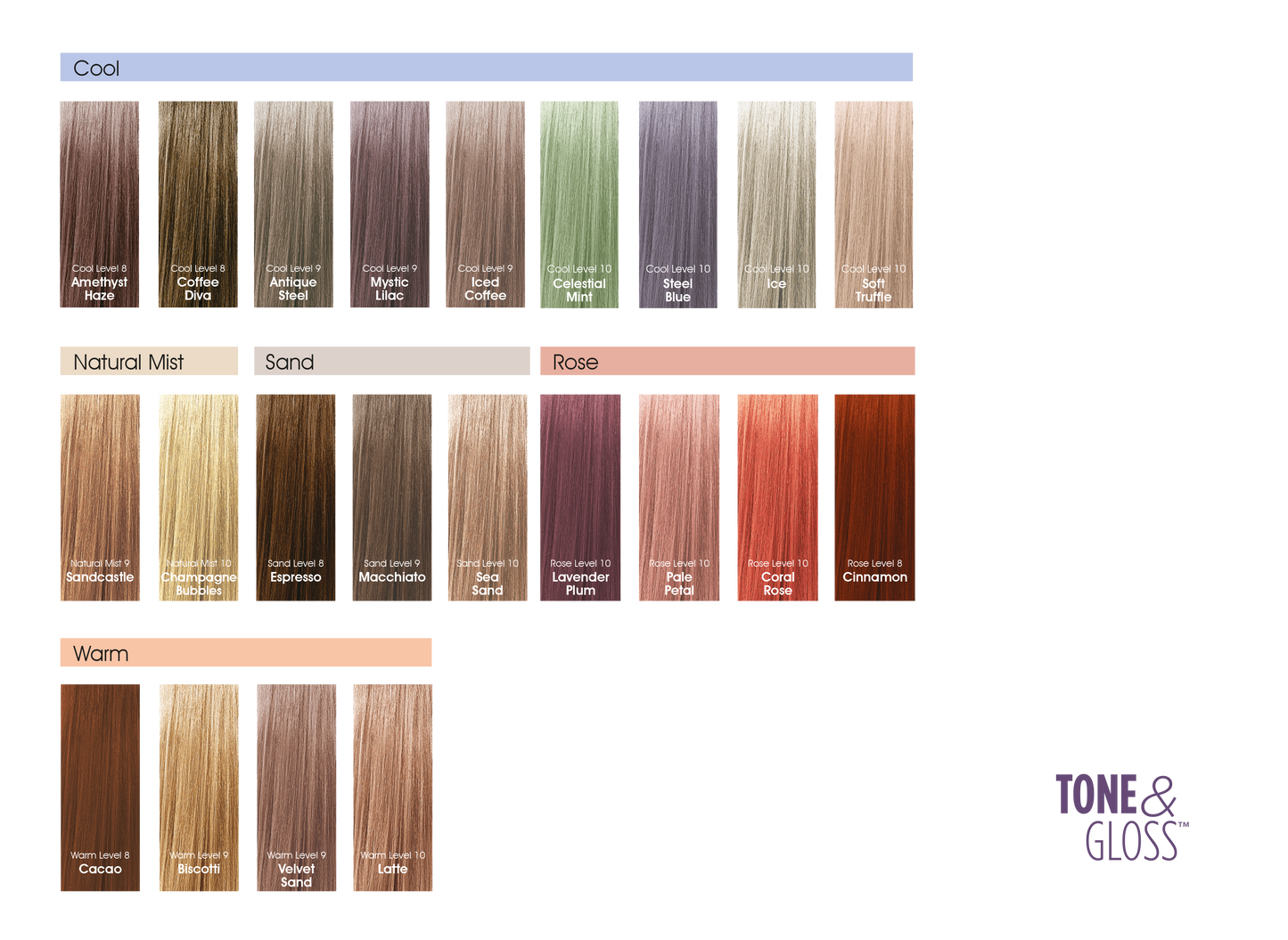 TONE & GLOSS COLOR SWATCH BOOK