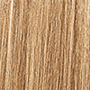CHI TONE & GLOSS - BISCOTTI 89 GR
