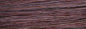 CHI IONIC COLOR - CHOCOLATE MOCHA
