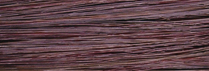 CHI IONIC COLOR - CHOCOLATE MOCHA