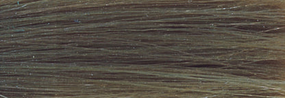 CHI IONIC COLOR - DOUBLE ASH