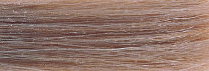 CHI IONIC COLOR - ASH