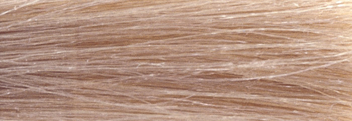 CHI IONIC SHINE SHADES COLORS - BEIGE