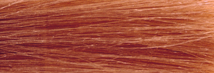 CHI IONIC SHINE SHADES COLORS - RED BROWN