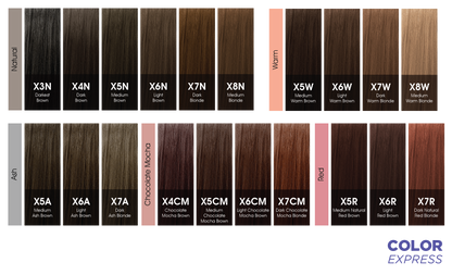 CHI COLOR EXPRESS - SWATCH BOOK