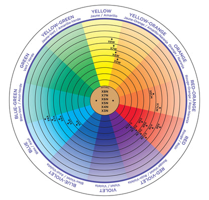 CHI COLOR EXPRESS - SWATCH BOOK