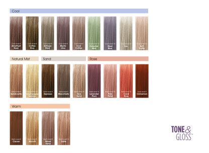 TONE & GLOSS COLOR SWATCH BOOK