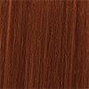CHI TONE & GLOSS - CINNAMON 89 GR
