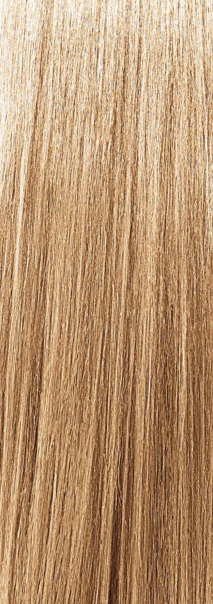 CHI TONE & GLOSS - BISCOTTI 89 GR